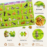 Cute Pet Yoga - 1000 Pieces Jigsaw Puzzle
