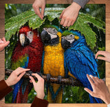 Rainforest Sanctuary - 1000 Pieces Jigsaw Puzzle