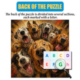 Pawsitive Vibes Only- 1000 Pieces Jigsaw Puzzle