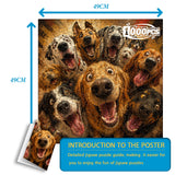 Pawsitive Vibes Only- 1000 Pieces Jigsaw Puzzle